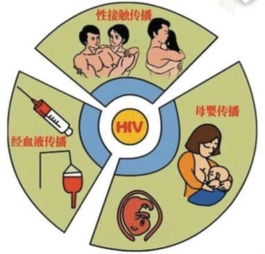 图2.jpg