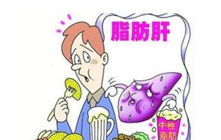 脂肪肝.jpg