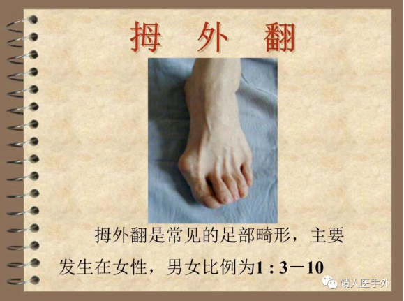 2222-1.jpg 2222-1.jpg