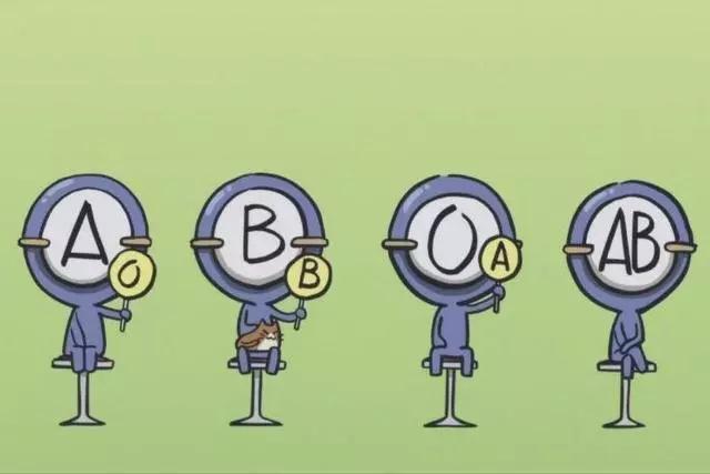 80002.jpg