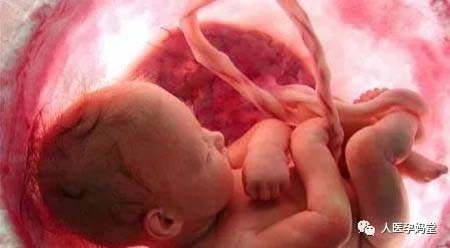 960001.jpg 960001.jpg