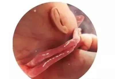 960003.jpg 960003.jpg