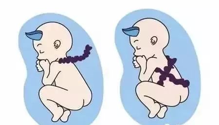 960005.jpg 960005.jpg