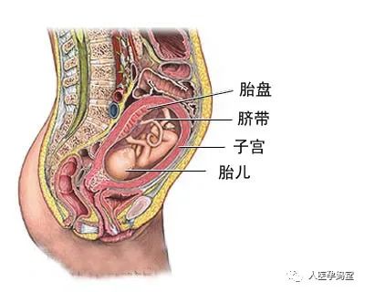 微信图片_20220415092633.jpg