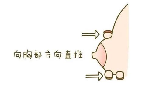 460004.jpg 460004.jpg