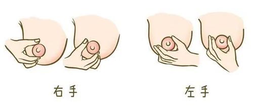 460005.jpg 460005.jpg