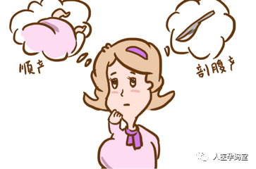 850001.png