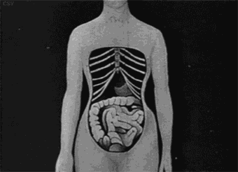 230002.gif