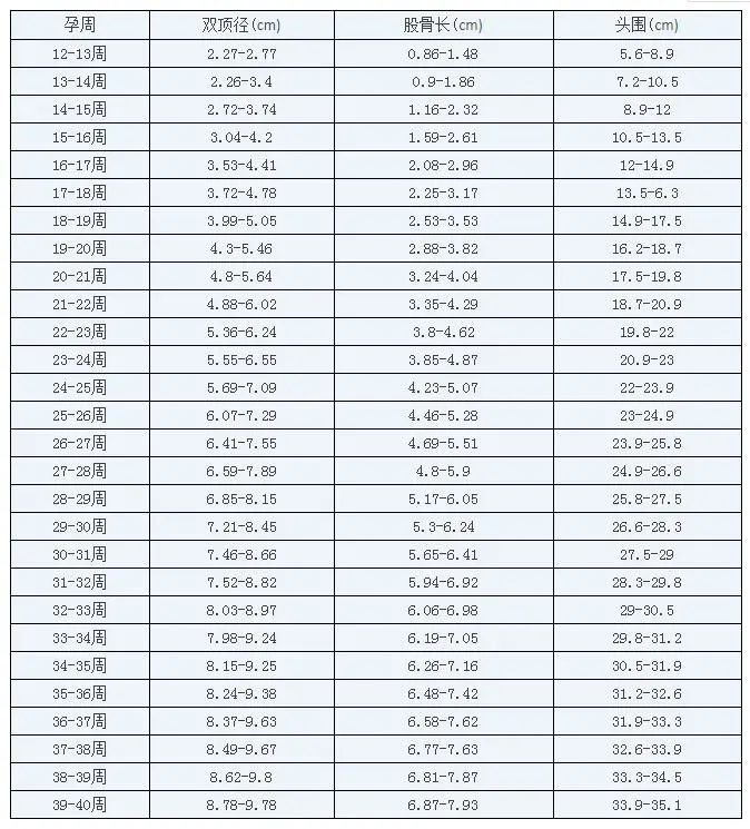 520002.jpg