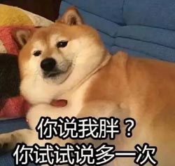 960005.jpg