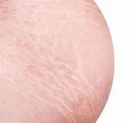 320001.jpg 320001.jpg