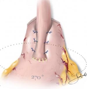 450001.jpg 450001.jpg