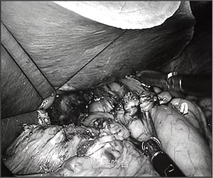 450002.jpg 450002.jpg