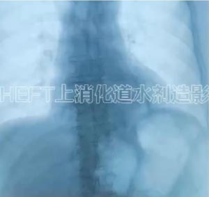 450004.jpg 450004.jpg