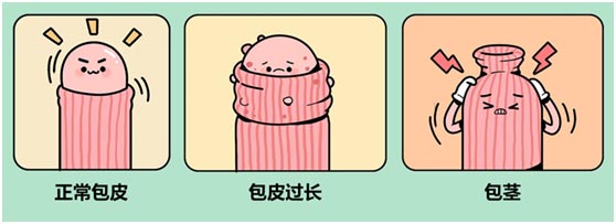 690001.jpg 690001.jpg