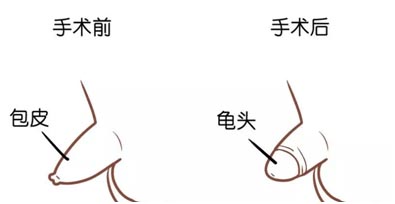 690003.jpg 690003.jpg