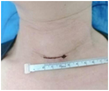 230002.jpg 230002.jpg