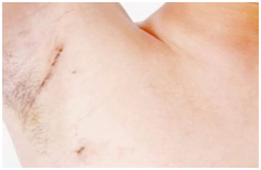 230003.jpg 230003.jpg