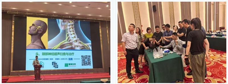 1110008.jpg 1110008.jpg