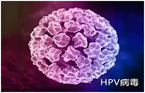 230001.jpg 230001.jpg