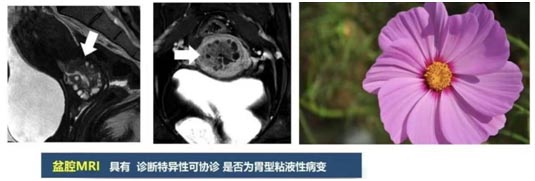 230002.jpg 230002.jpg