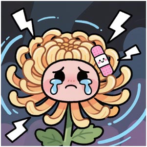 680002.jpg 680002.jpg