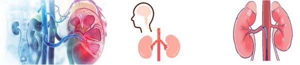 540001.jpg 540001.jpg