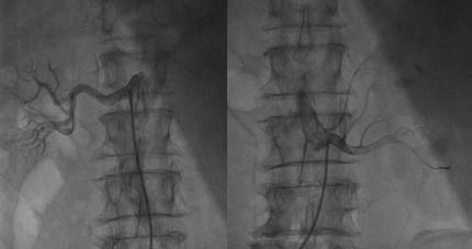 540004.jpg 540004.jpg