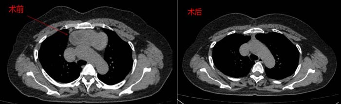 550001.jpg 550001.jpg